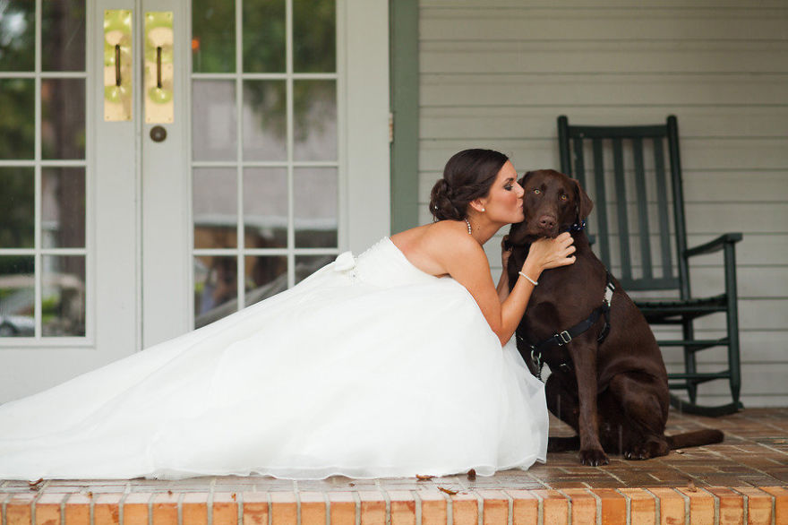 kutya, esküvő