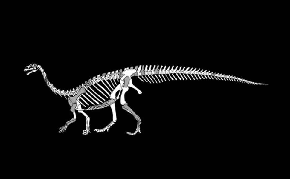dinoszaurusz, Sefapanosaurus